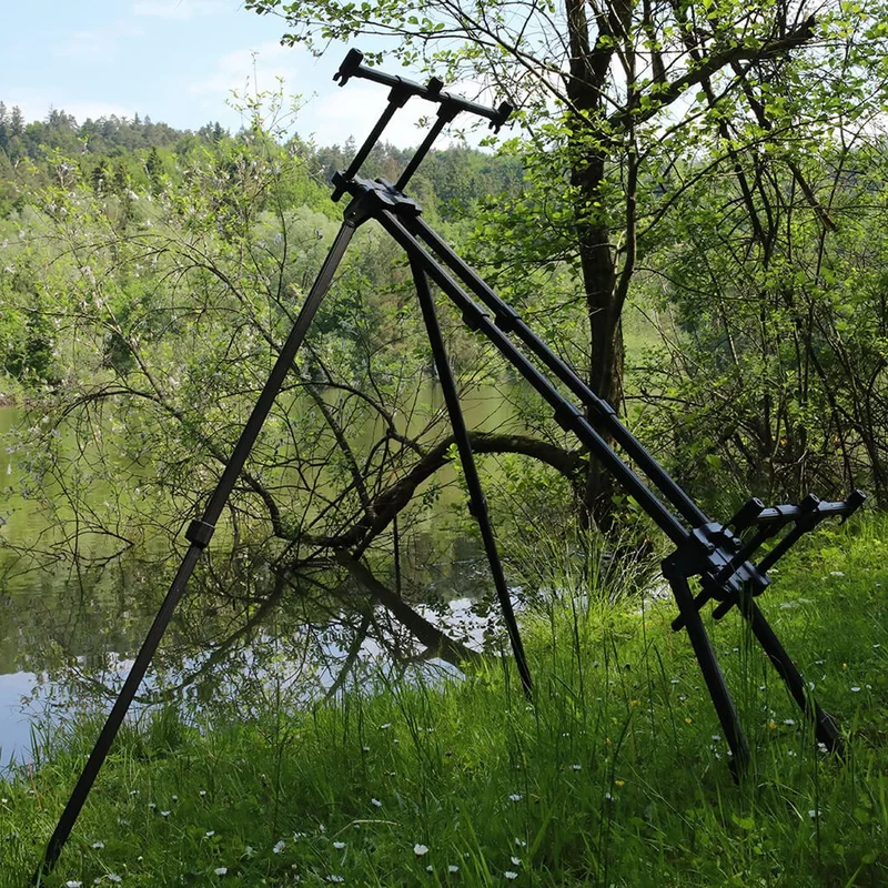 elrincondelcarpfishing2650347