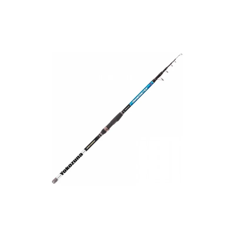 pescacosmar2595425
