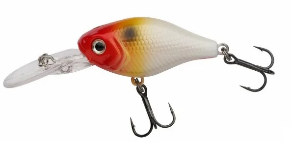 promopesca2641521