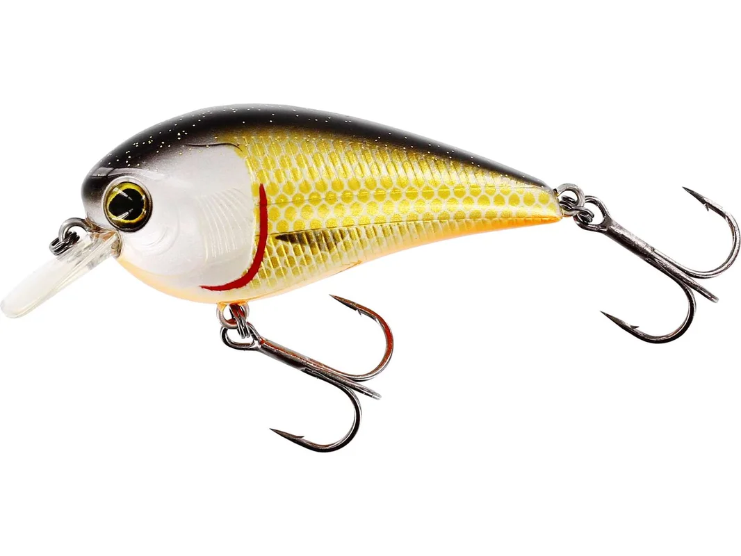promopesca2742005
