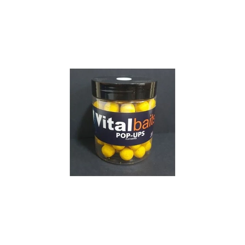 vitocarp2598778